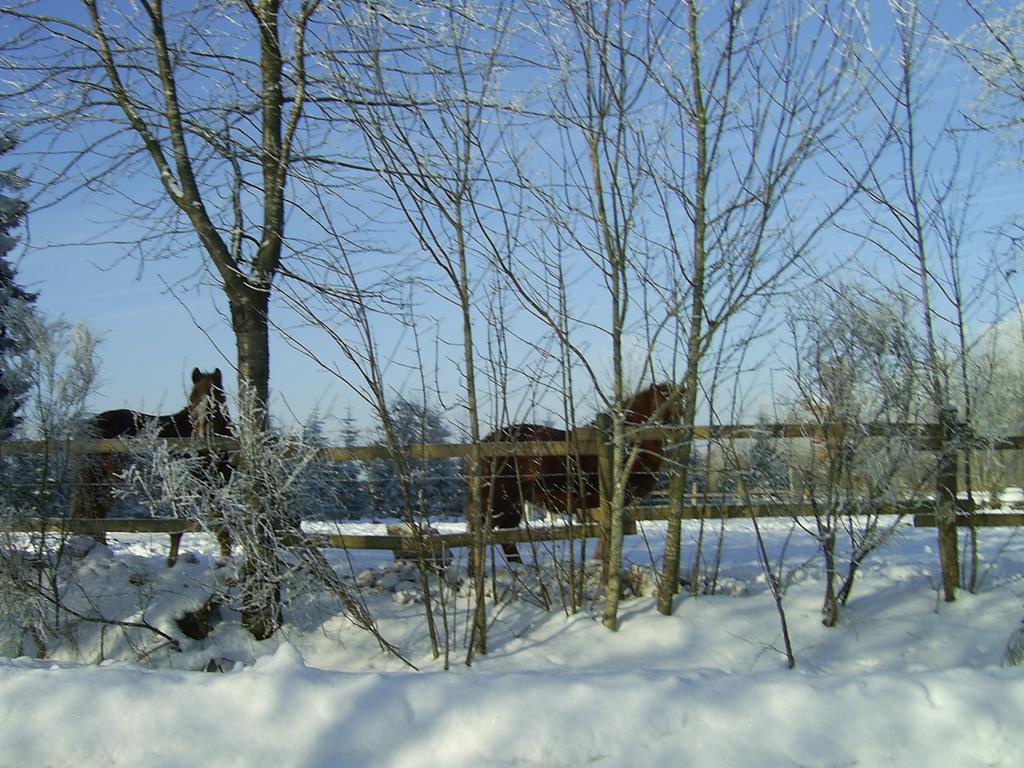 דירות Olmscheid Haus Maria חדר תמונה
